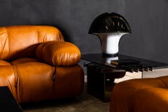 "Albanella" Table Lamp by Sergio Brazzoli & Ermanno Lampa for Guzzini