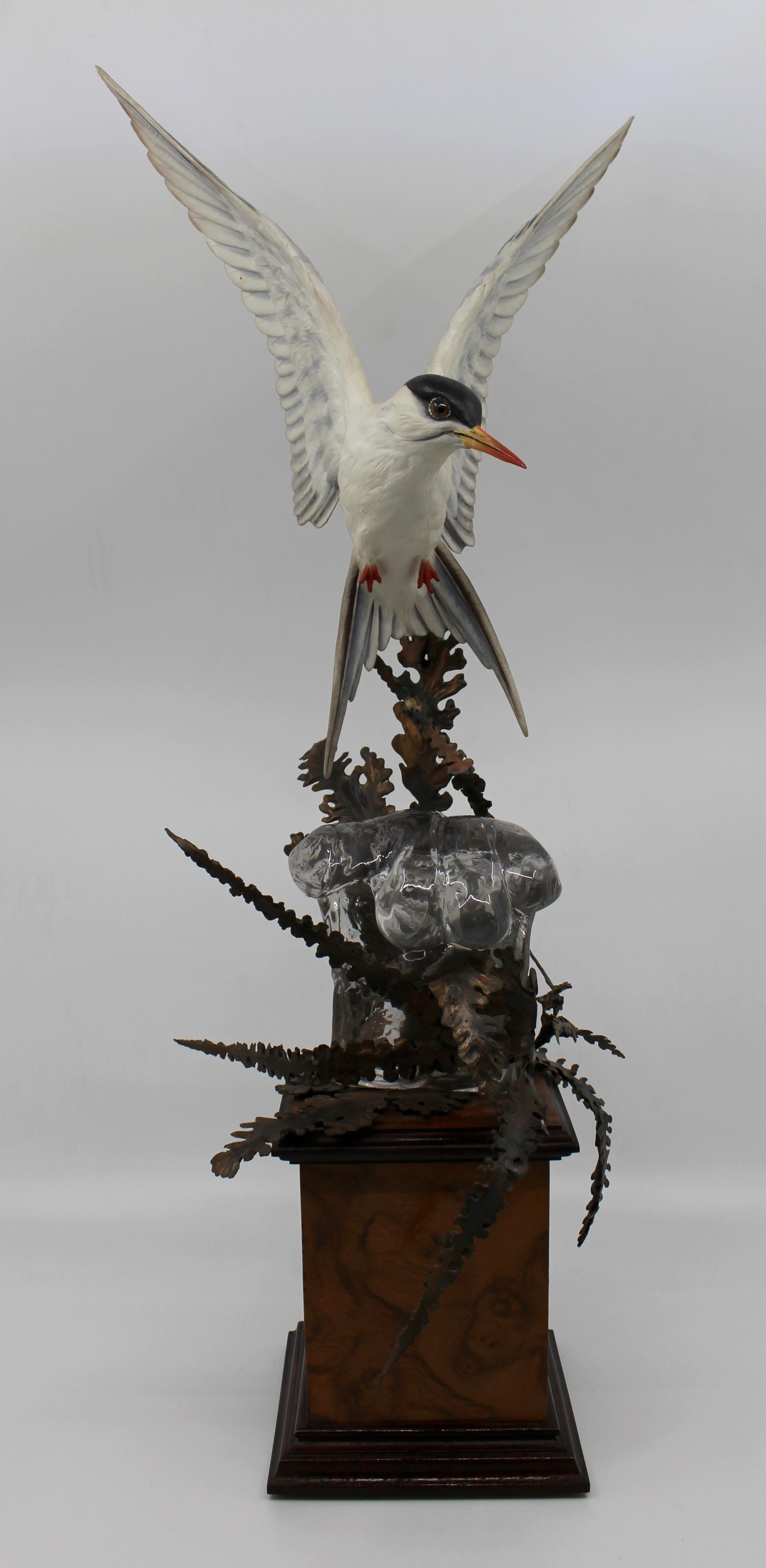 Manufacturer Albany Fine China Ltd England, Worcester
Title Arctic Tern
Composition porcelain sculpture on bronze mount with marble base
Measures: Height 54 cm / 21 1/2 in
Modeller David Burnham-Smith
Limited edition of 500
Condition: Very