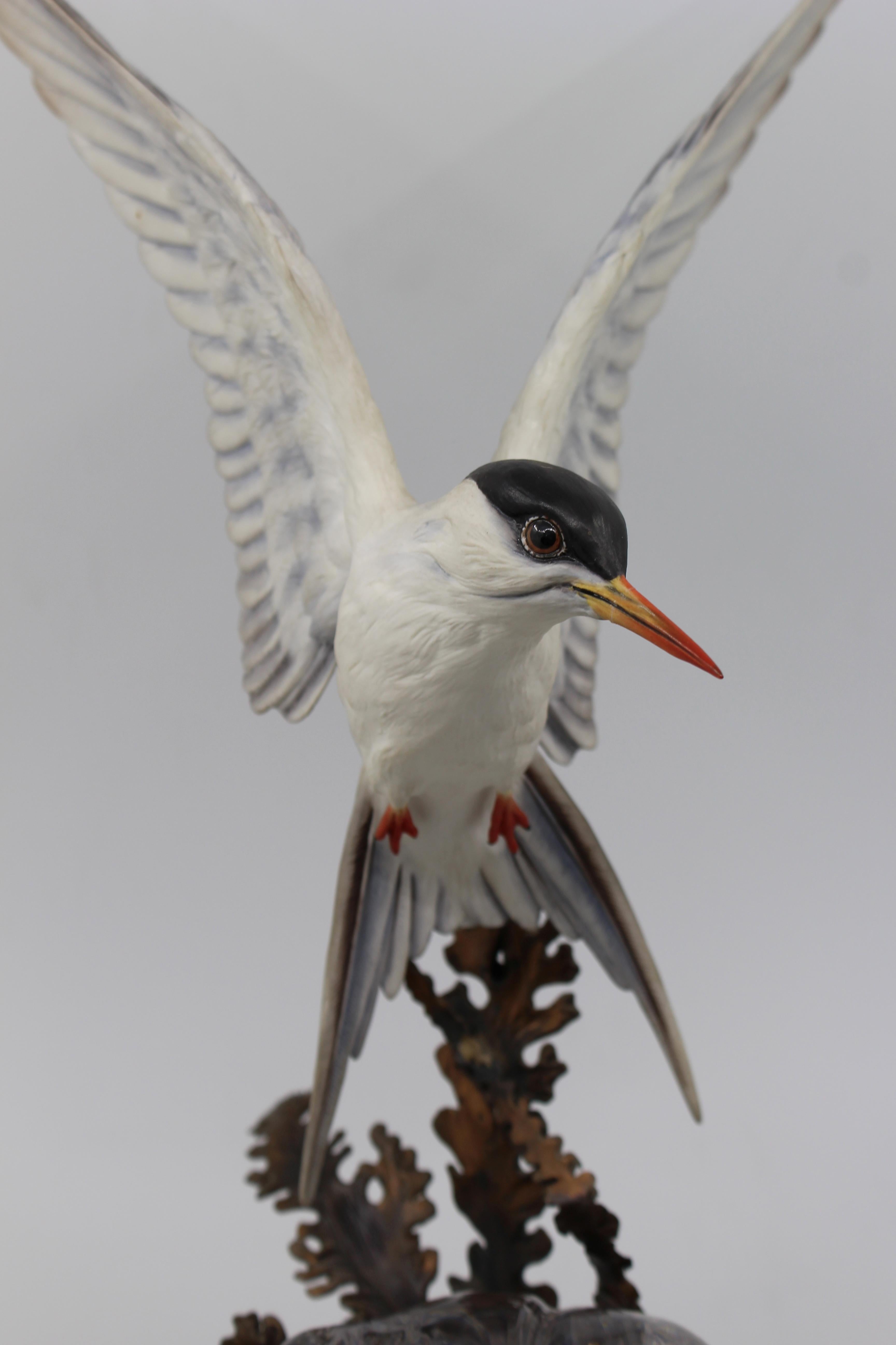 Albany David Burnham-Smith Sculpture Arctic Tern In Excellent Condition For Sale In Worcester, Worcestershire