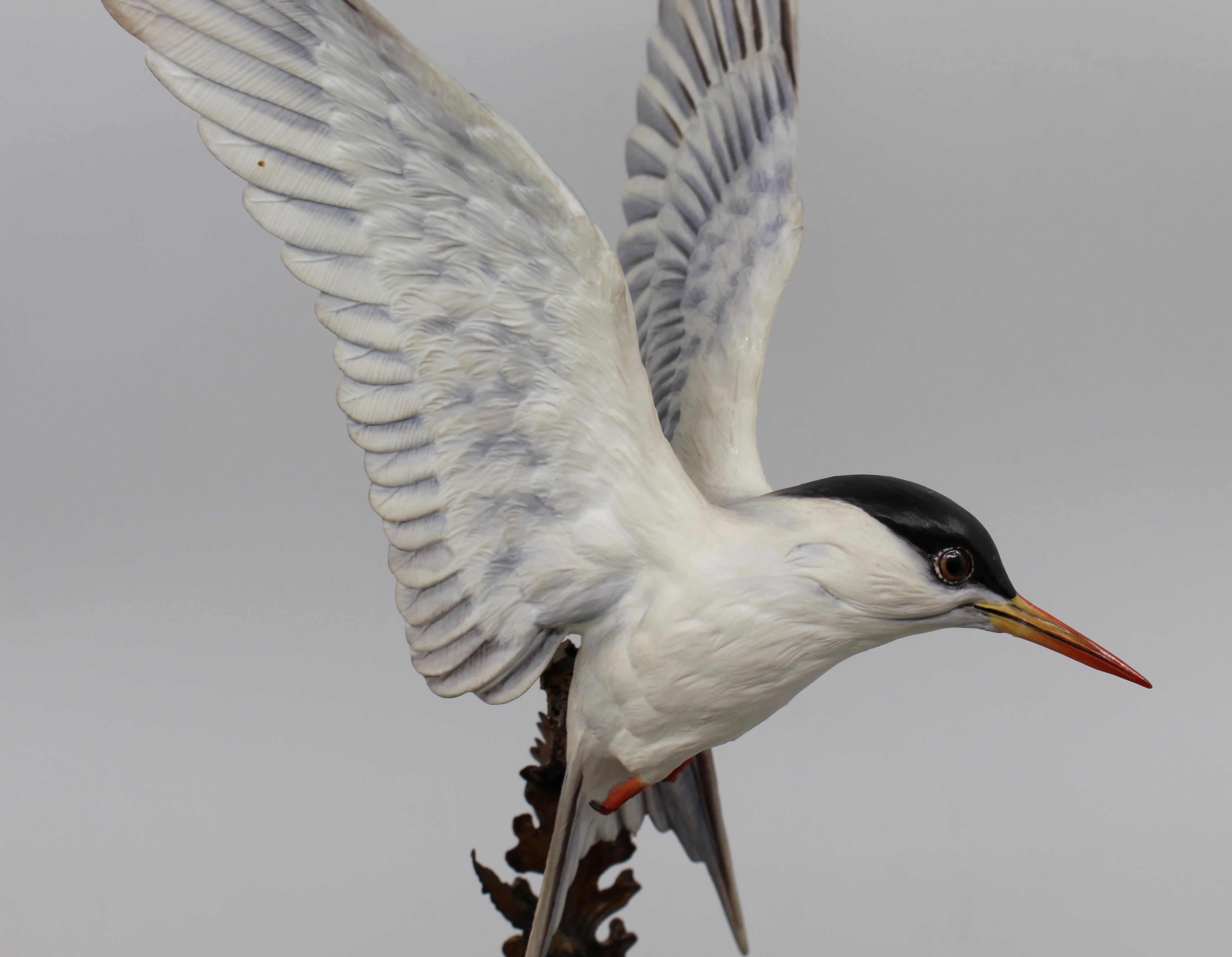 20th Century Albany David Burnham-Smith Sculpture Arctic Tern For Sale