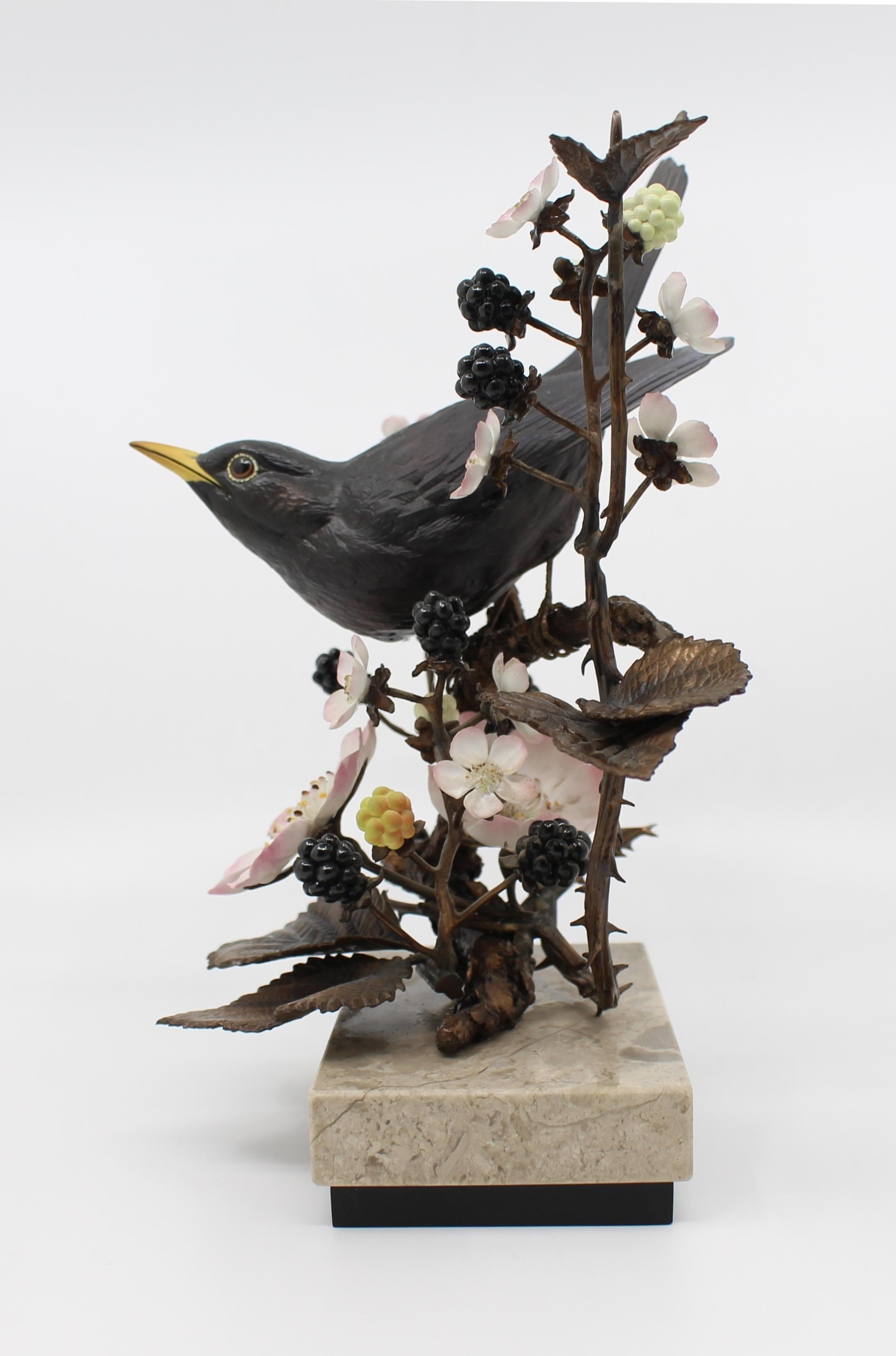 Bronze Albany Limited Edition Blackbird Sculpture Songbird Series