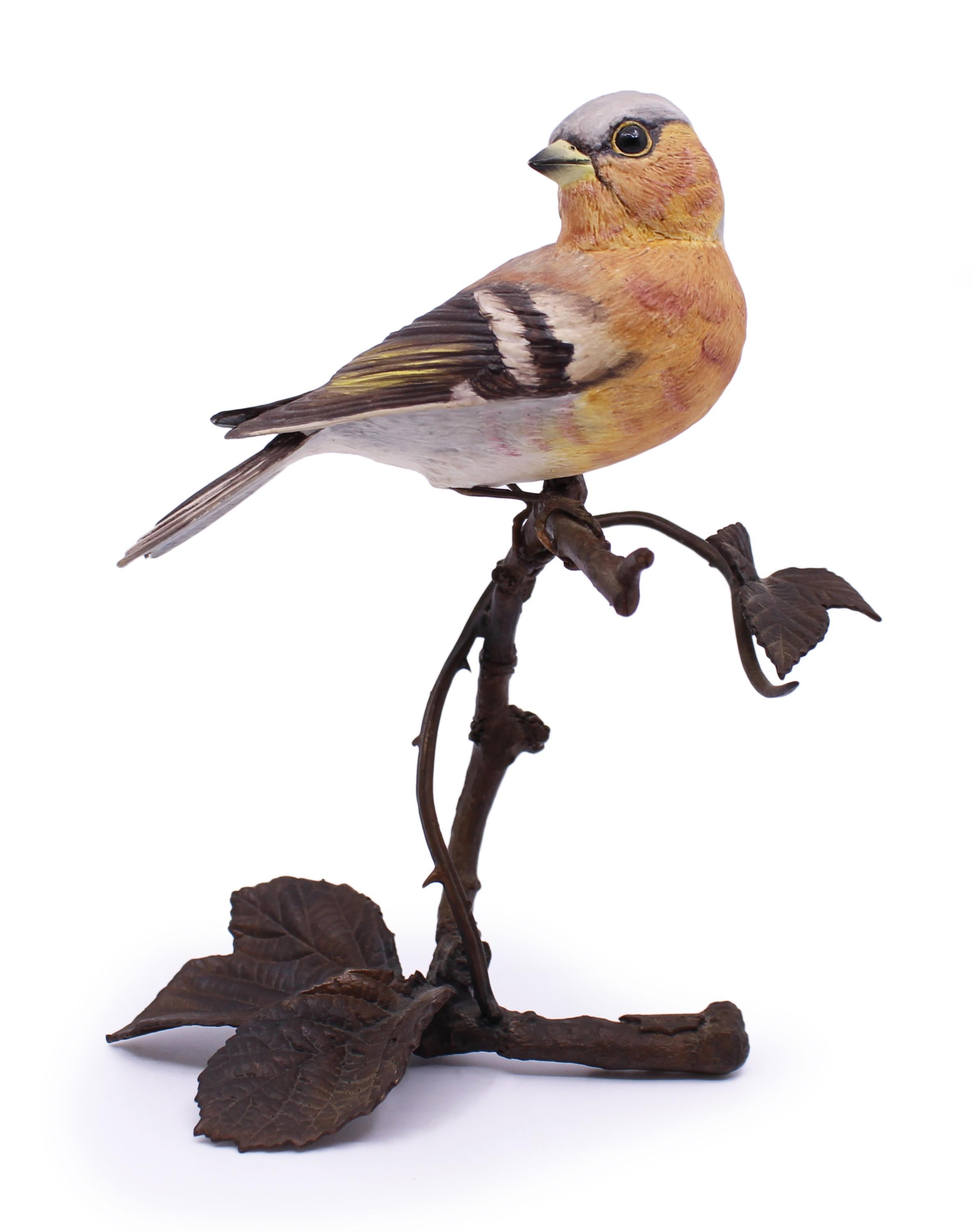 Albany Worcester county birds porcelain & bronze chaffinch


Albany Fine China Ltd England, Worcester

Chaffinch from the County Birds series

Measures: Height 16 cm / 6 1/4 in

Condition Very good condition; free from chips, cracks or