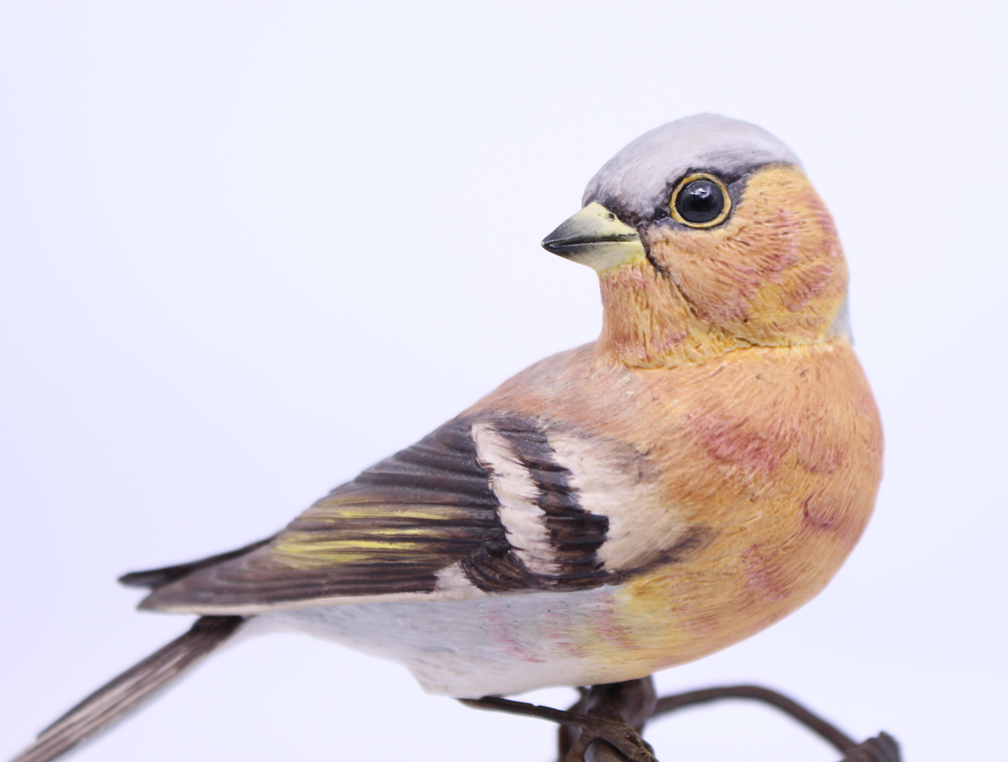 British Albany Worcester County Birds Porcelain & Bronze Chaffinch For Sale