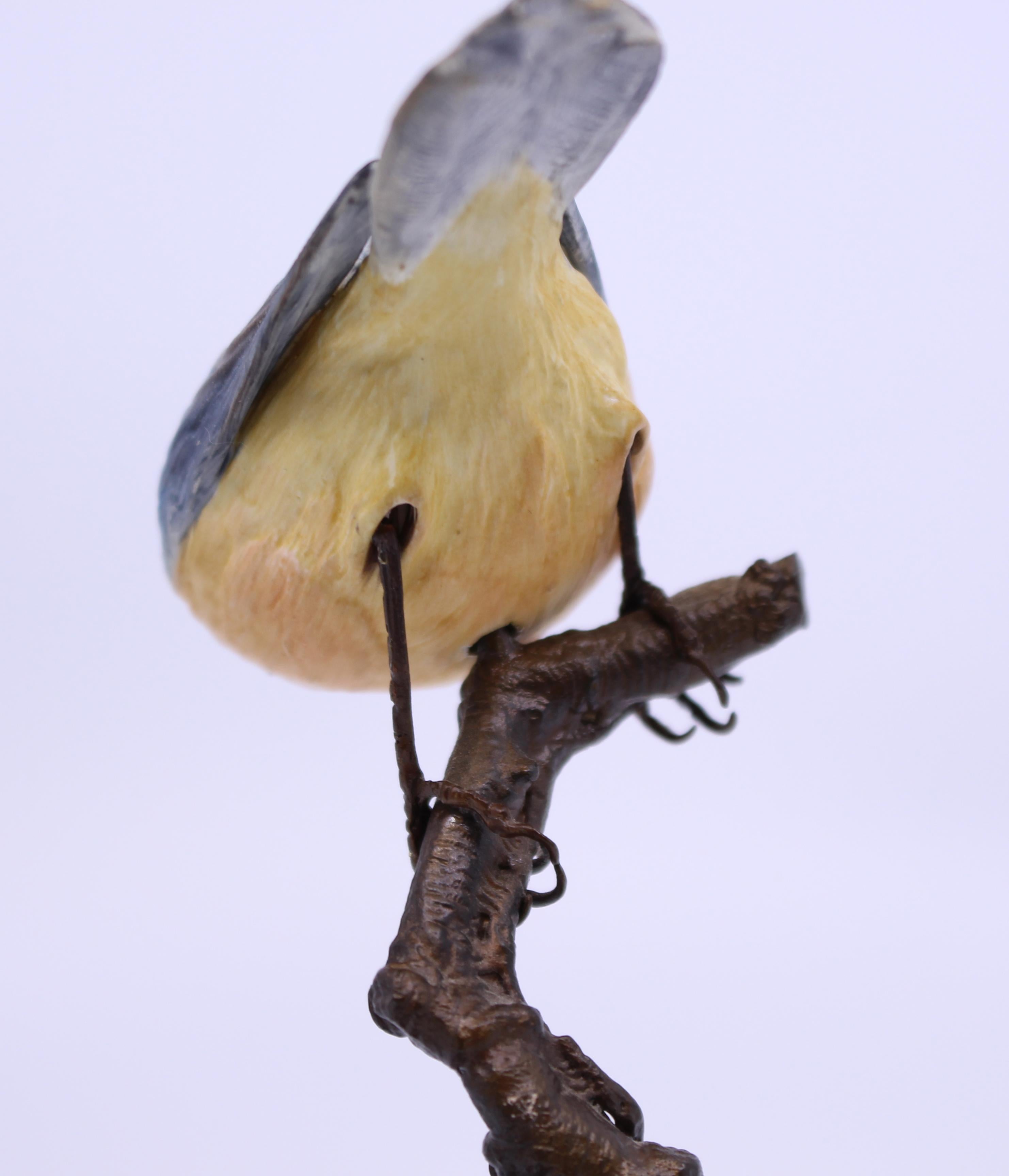 Albany Worcester County Birds Porcelain & Bronze Nuthatch For Sale 1