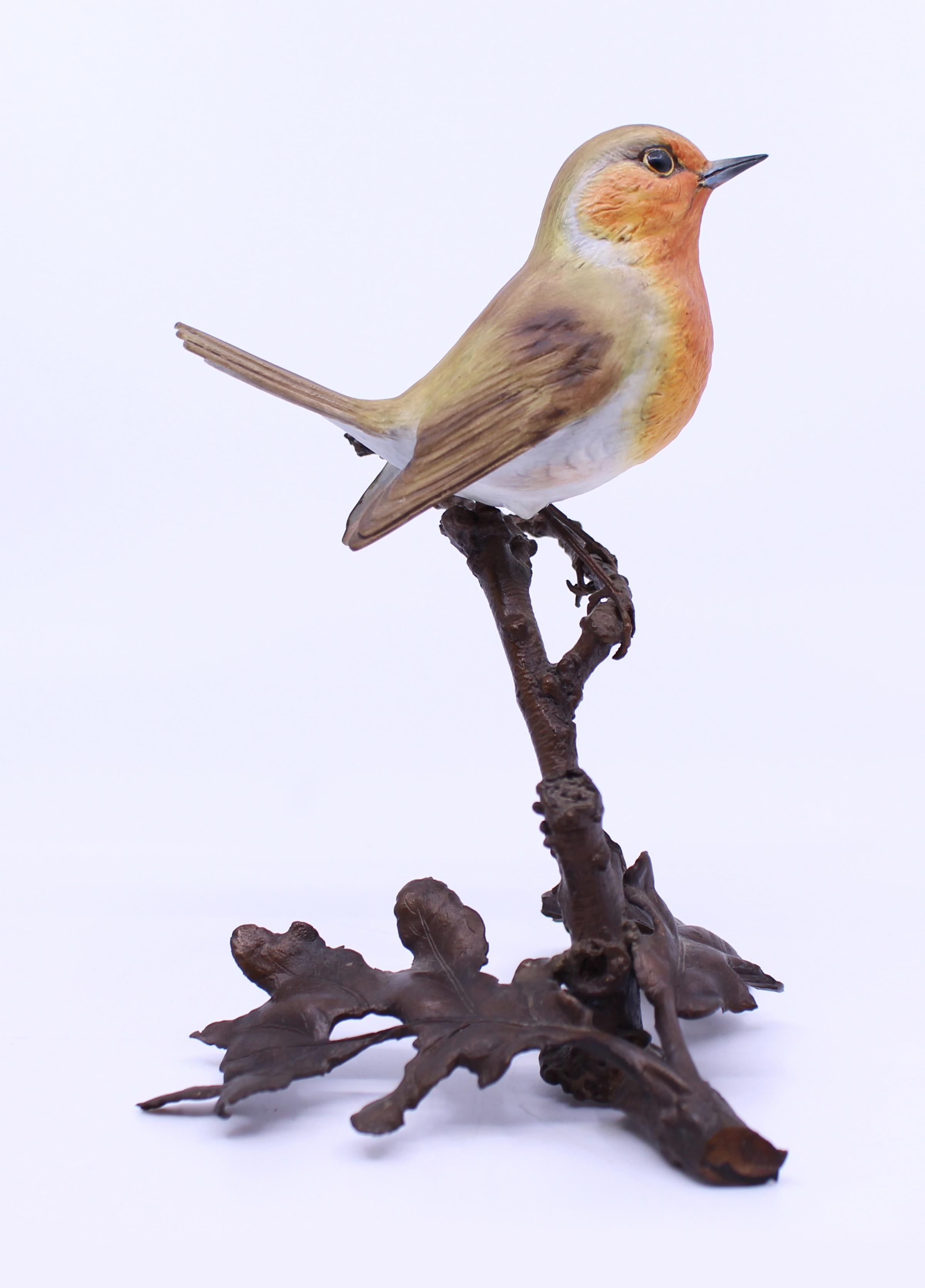 royal worcester robin