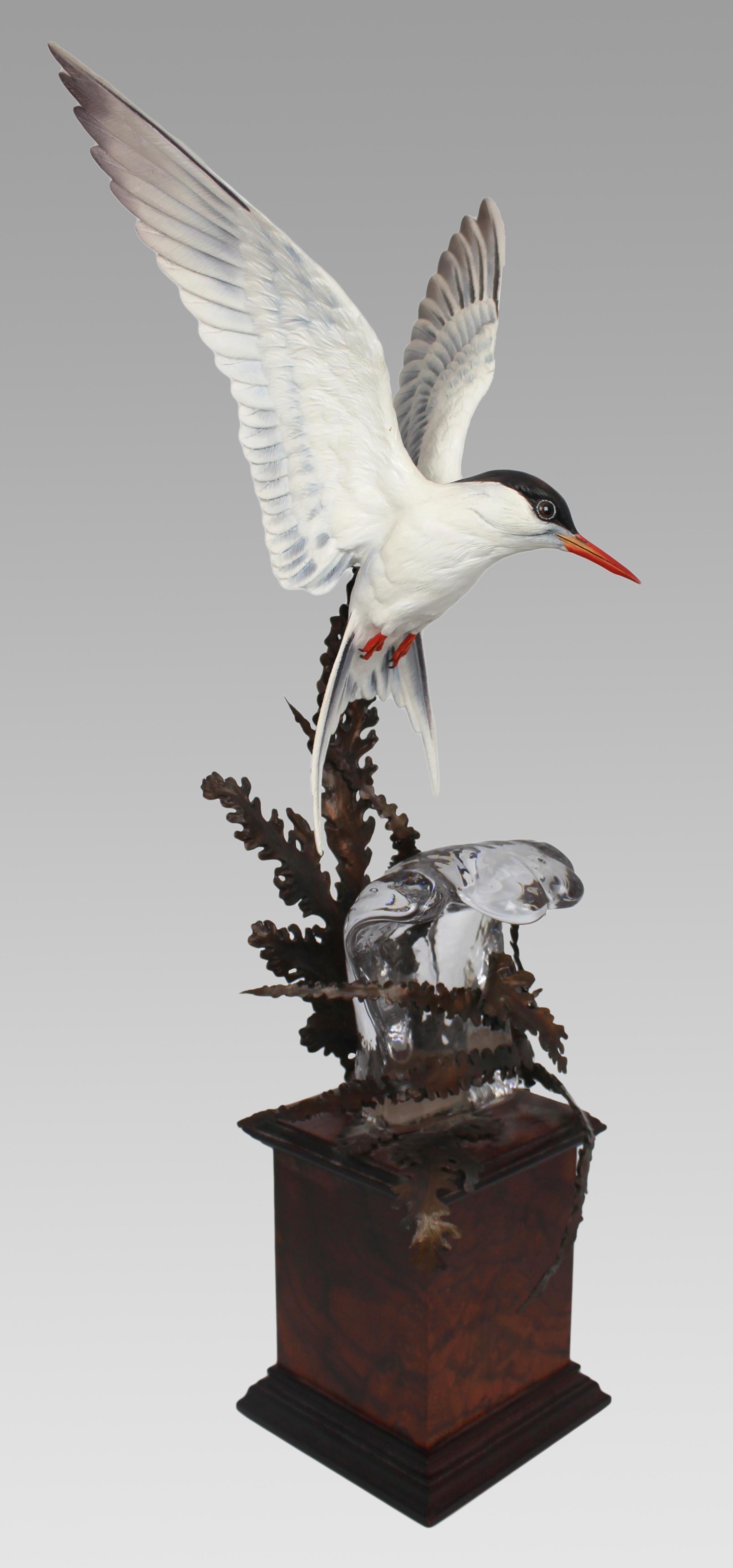 Albany Worcester David Burnham-Smith sculpture Arctic Tern


Modelled by David Burnham-Smith for Albany Fine China Ltd England, Worcester

