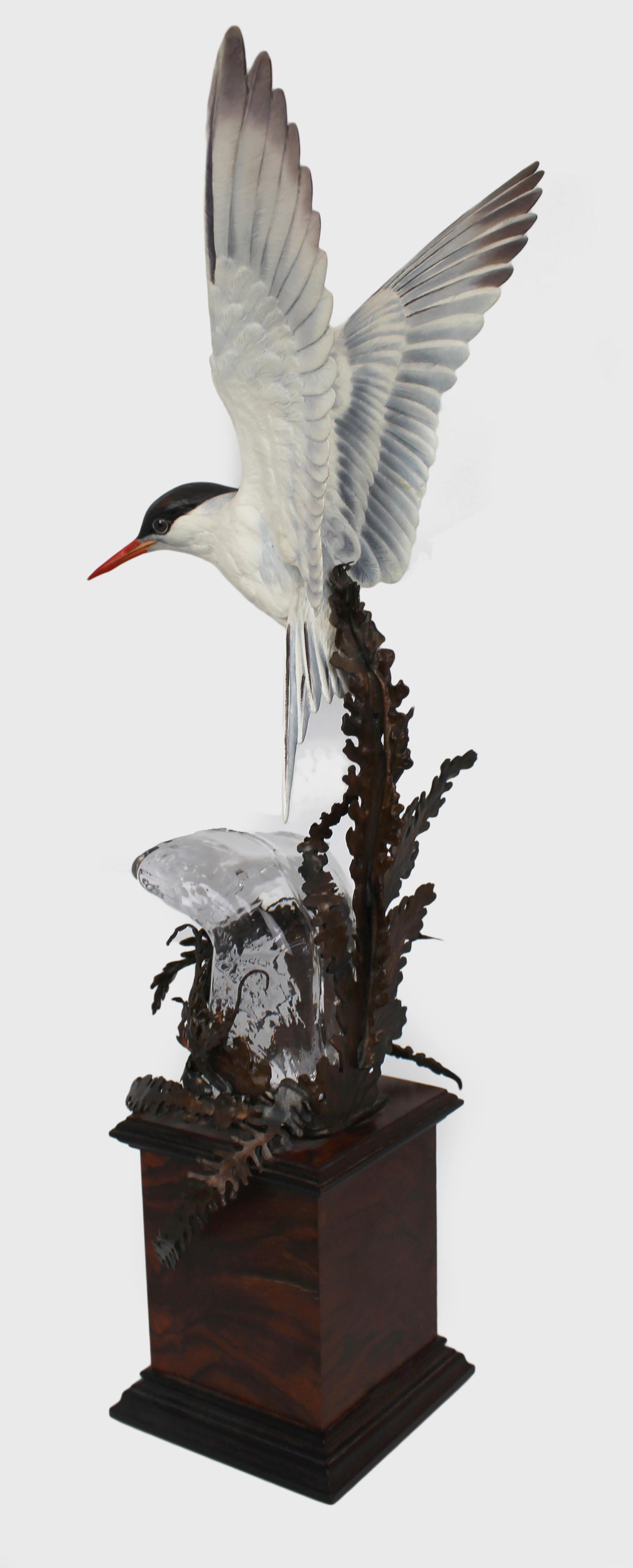 British Albany Worcester David Burnham-Smith Sculpture Arctic Tern For Sale