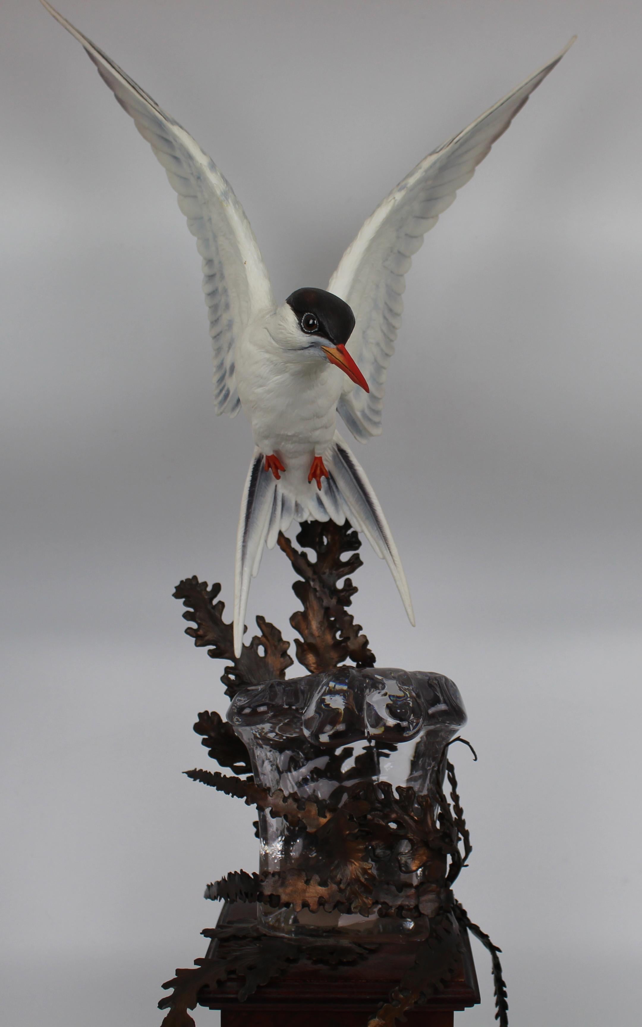 20th Century Albany Worcester David Burnham-Smith Sculpture Arctic Tern For Sale
