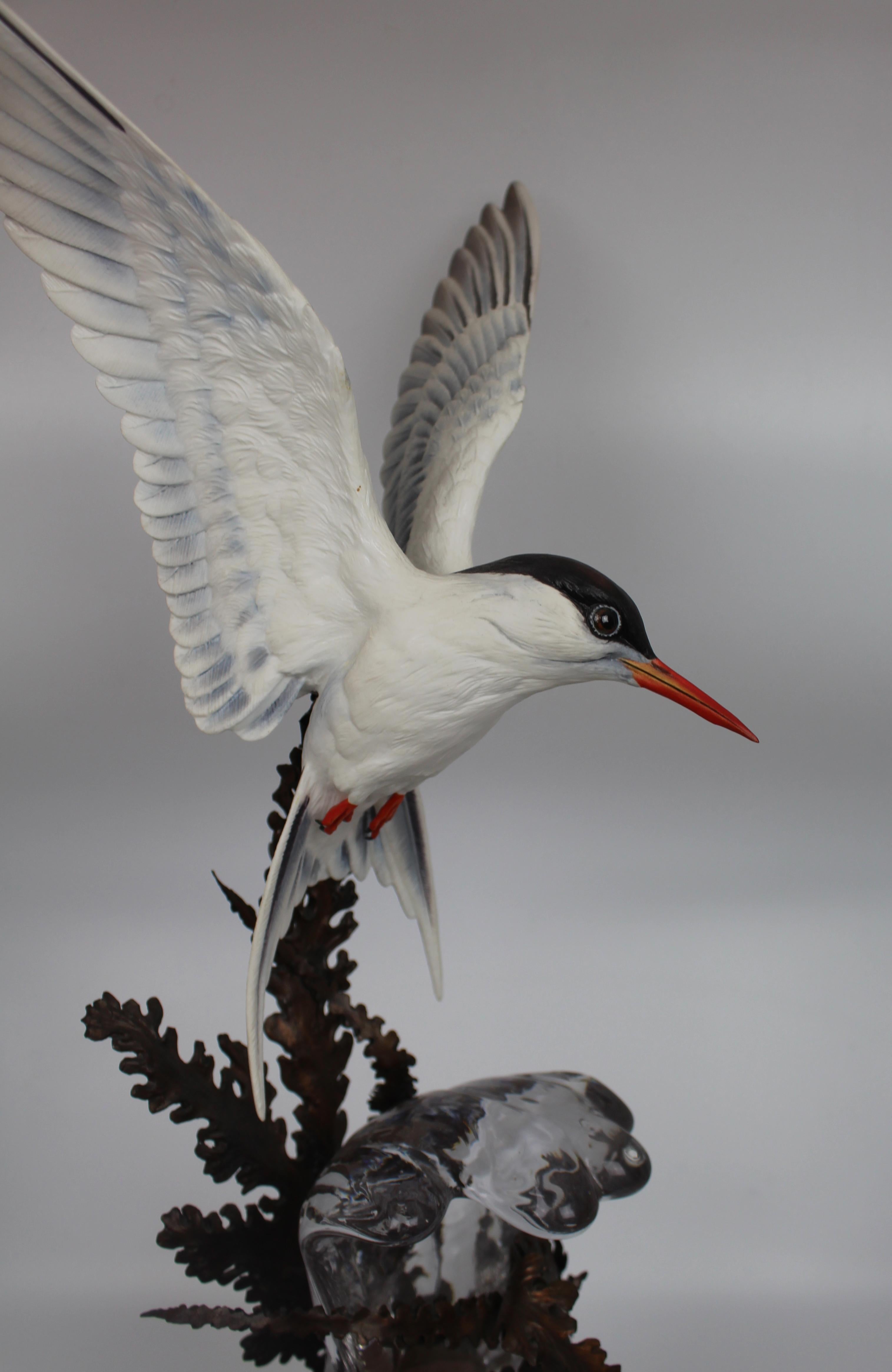 Porcelain Albany Worcester David Burnham-Smith Sculpture Arctic Tern For Sale