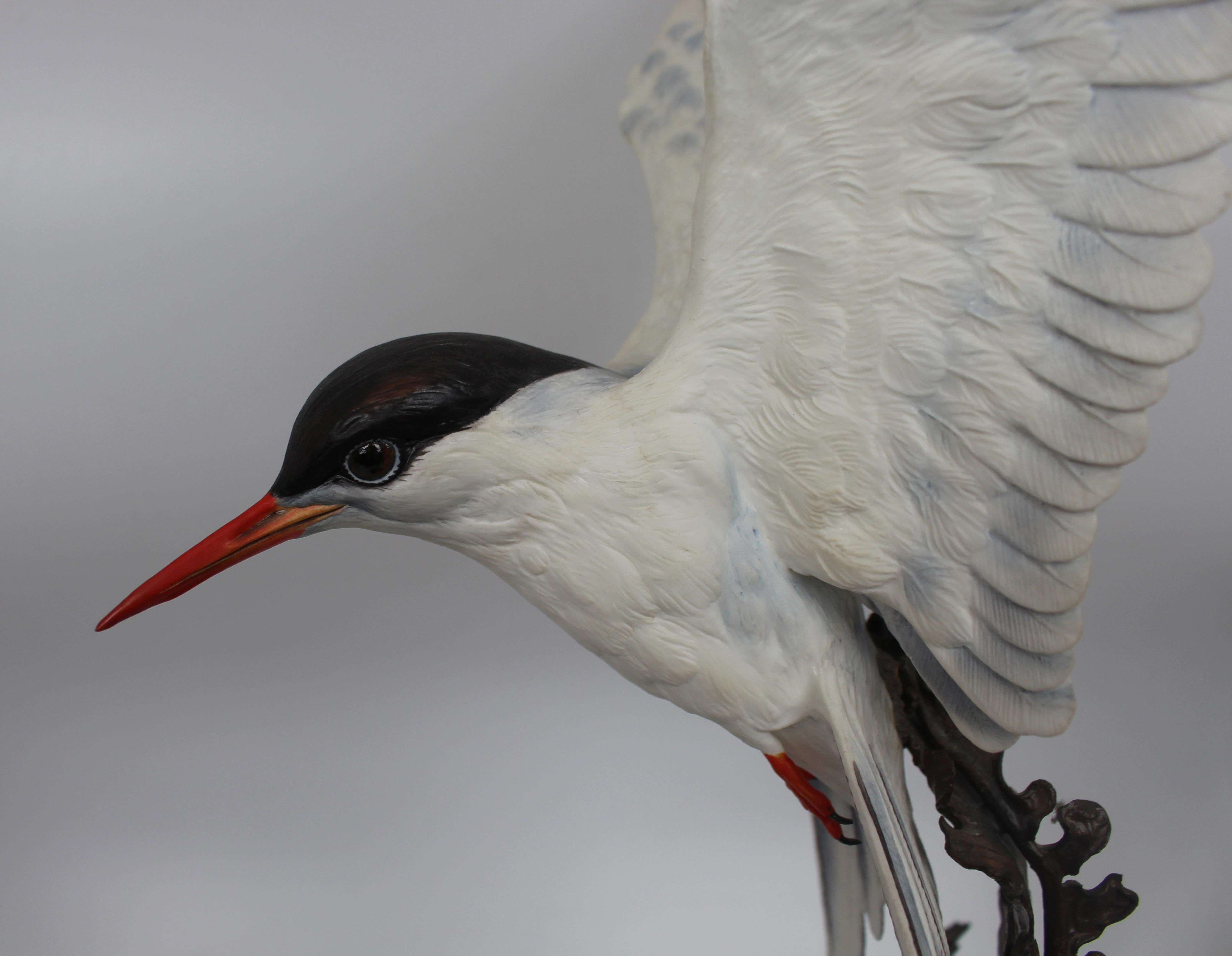 Albany Worcester David Burnham-Smith Sculpture Arctic Tern For Sale 1