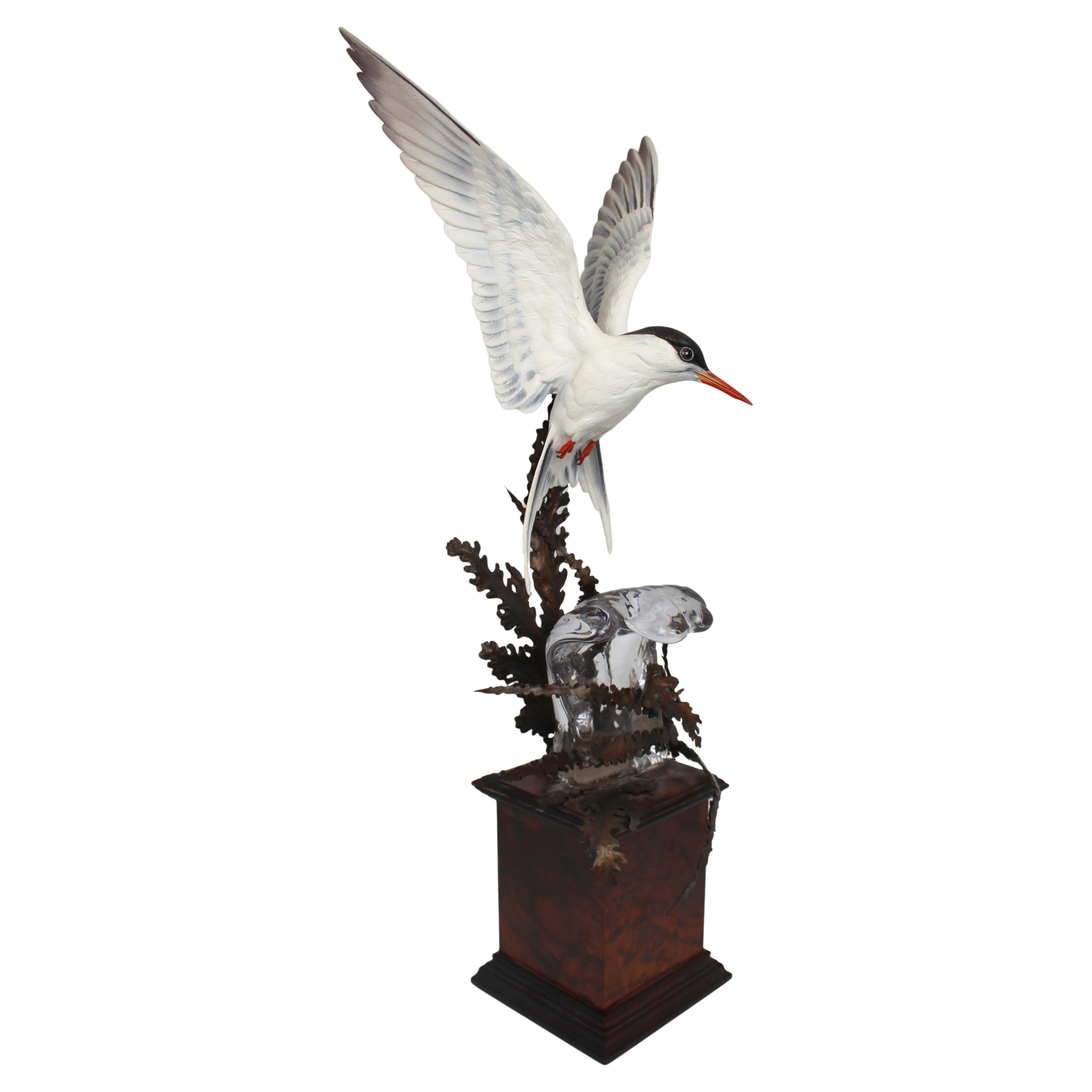 Albany Worcester David Burnham-Smith Sculpture Arctic Tern For Sale