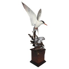 Albany Worcester David Burnham-Smith Sculpture Arctic Tern