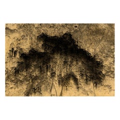 Albarran & Cabrera Contemporary Photography NYX #26 Gold Leaf Limited Edition