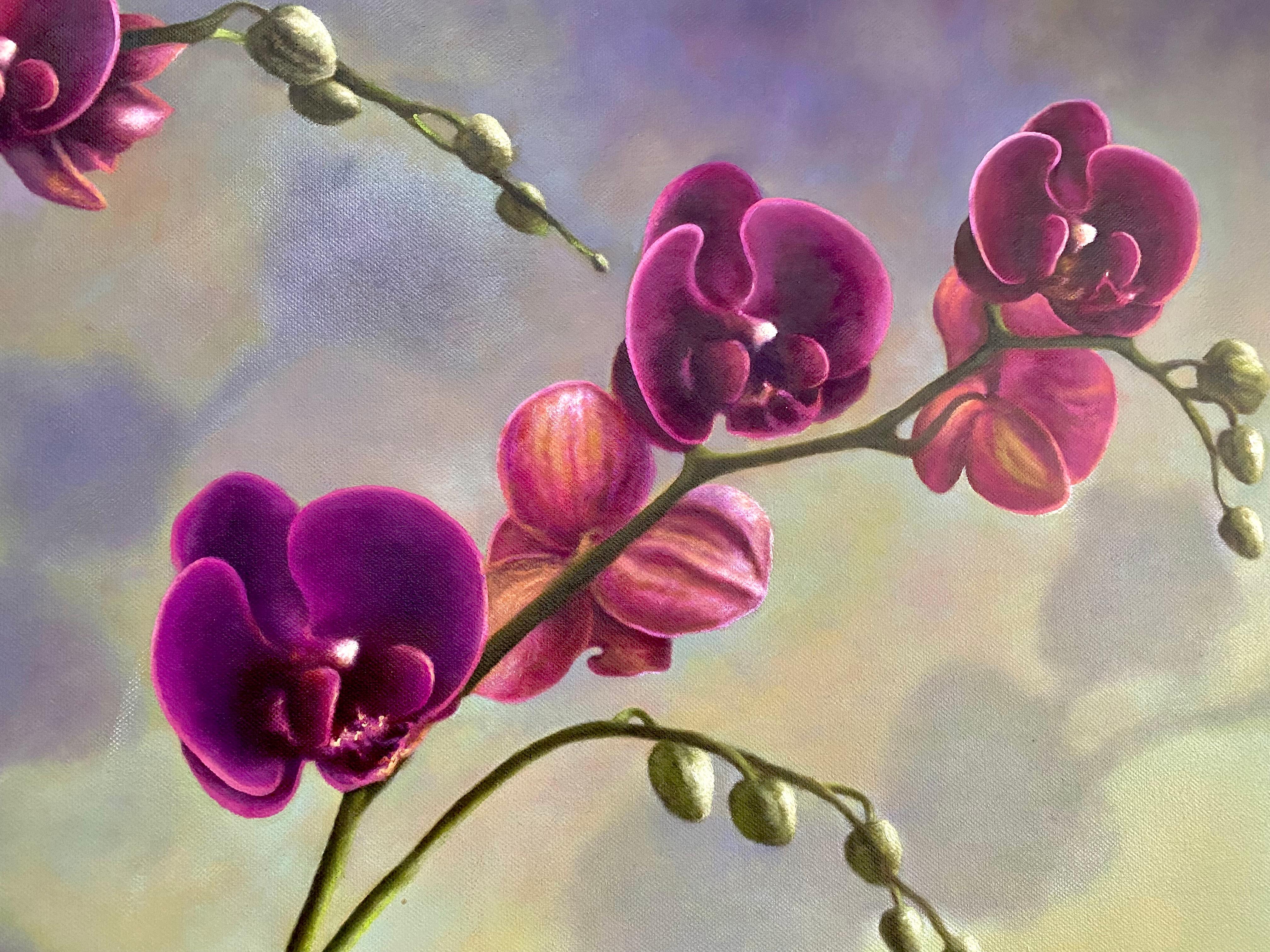 orchid paintings