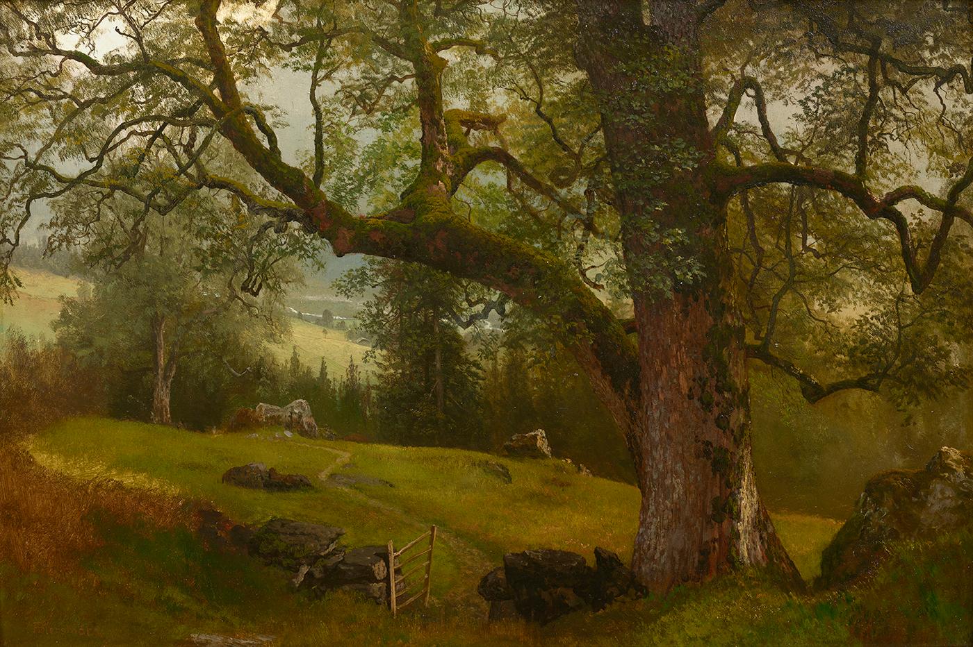 What are Albert Bierstadt's paintings examples of?