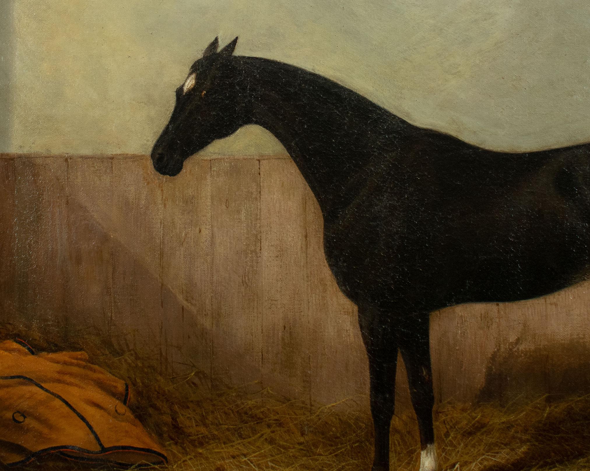 British Albert CLARK (1843-1928) Black horse in its stable, oil on canvas For Sale