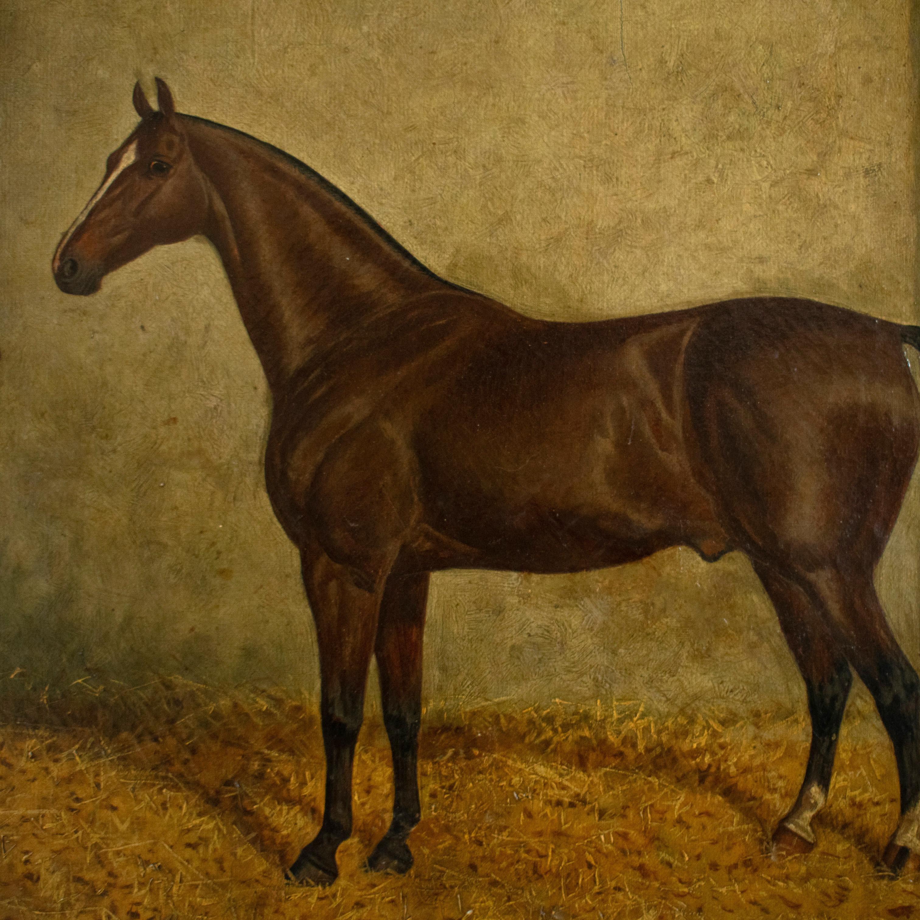 ALBERT CLARK dated 1900 - Oil on Canvas Portrait of the horse 'Jimmy M'.

In his familiar style the artist Albert Clark has portrayed the bay horse known as Jimmy M in his stable with a rug thrown over the manger, bearing the initials of the owner,