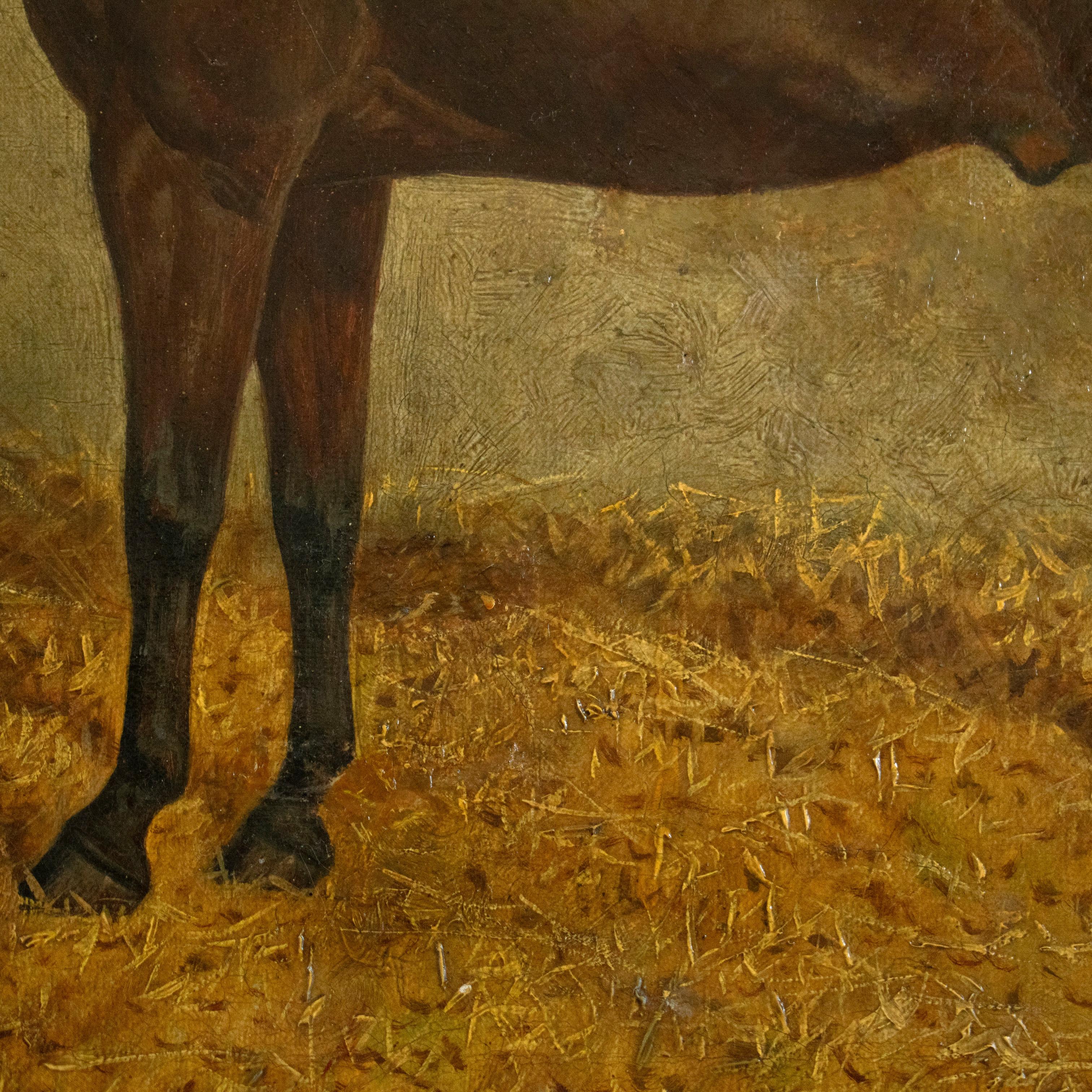 ALBERT CLARK dated 1900 - Oil on Canvas Jimmy M, Portrait of a horse For Sale 1