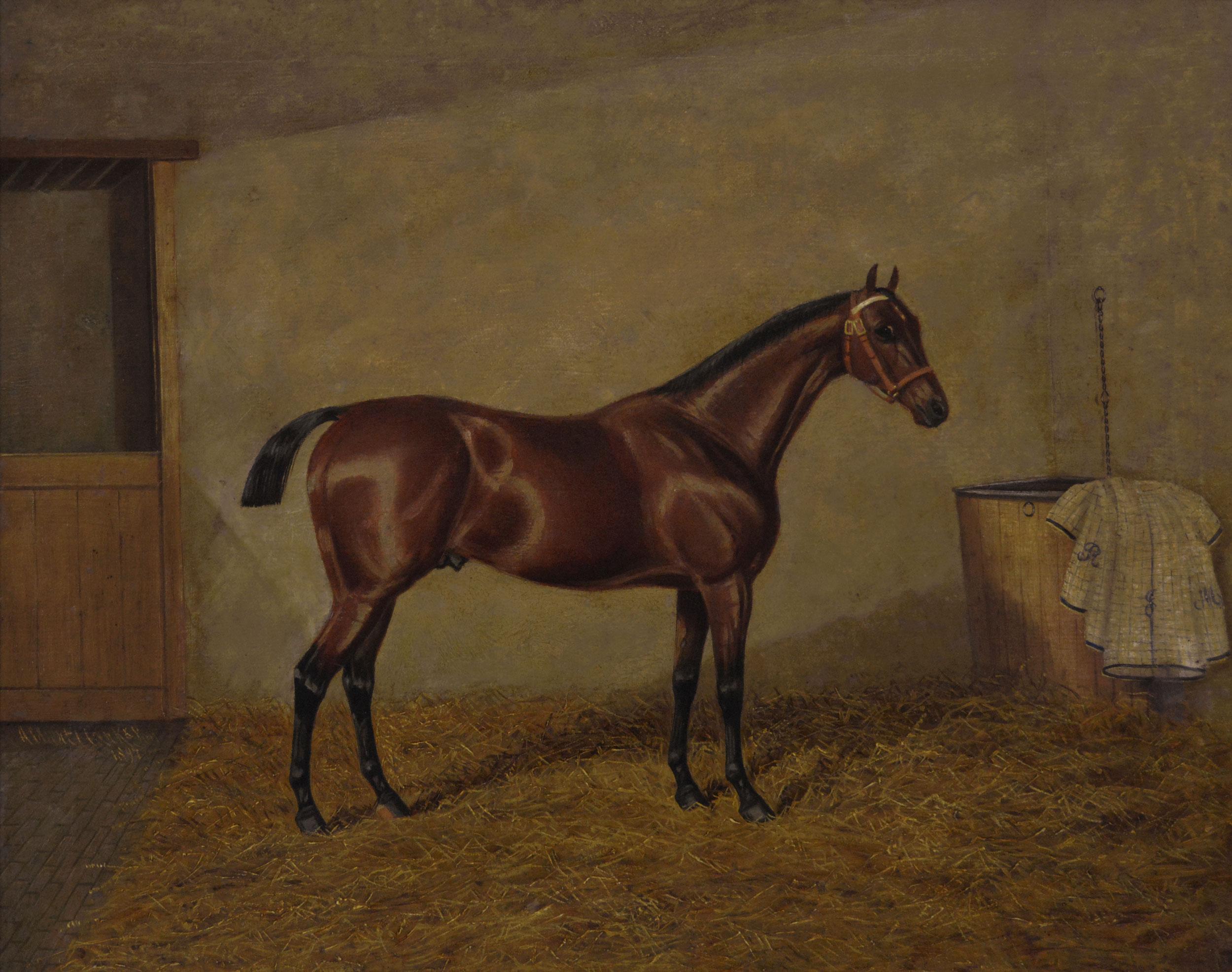 Coppia di ritratti di cavalli sportivi del XIX secolo dipinti a olio di stalloni baio - Painting di Albert Clark
