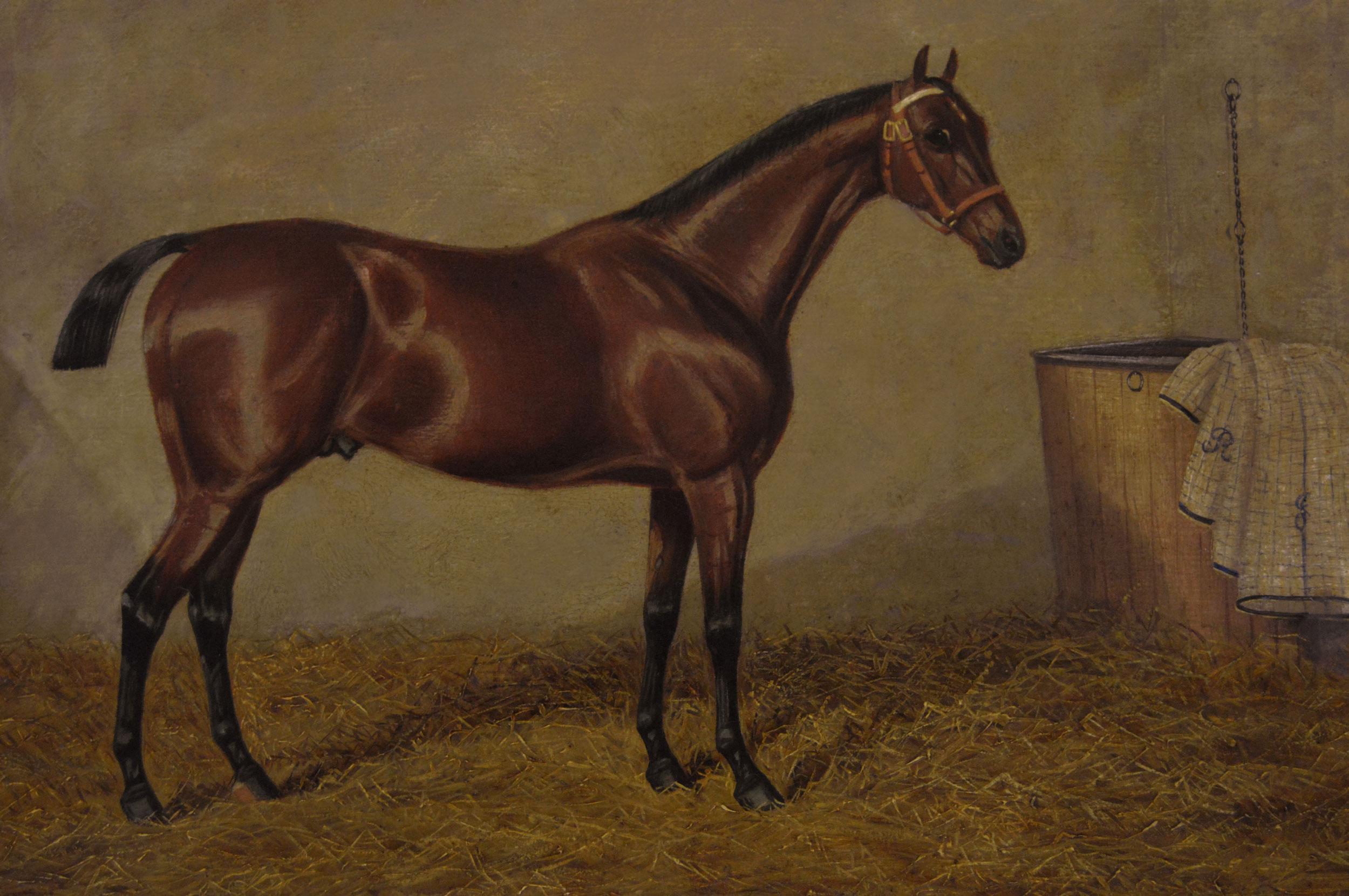 Coppia di ritratti di cavalli sportivi del XIX secolo dipinti a olio di stalloni baio - Painting Vittoriano di Albert Clark
