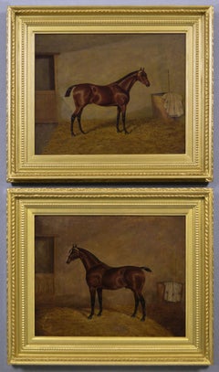 19th Century pair of sporting horse portrait oil paintings of bay stallions