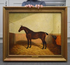 Bay Hunter in a Stable - 19th Century Equine Portrait Oil Painting