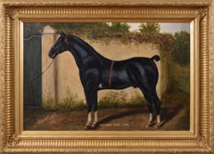 Sporting portrait oil painting of a prize horse