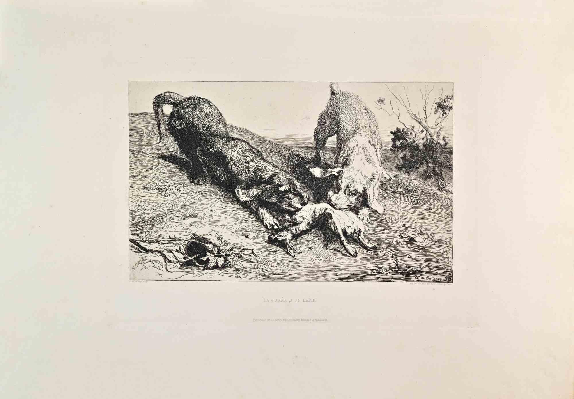 La Curee d'Un Lapin is a black and White etching realized by Albert de Balleroy in the 1862. 

Titled in the lower

Image Size: 24x34

Very good impression.

Realized by Cadart for the "Société des Aquafortistes. Born on the initiative of the