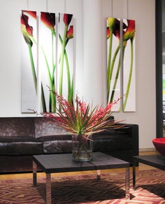 DUETTO POPPIES DIPTYCH - large scale, on Dibound under Acrylic glass