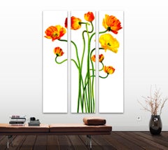 POPPING POPPIES TRIPTYCH - large scale 66 x 57 ", on Dibond under Acrylic glass