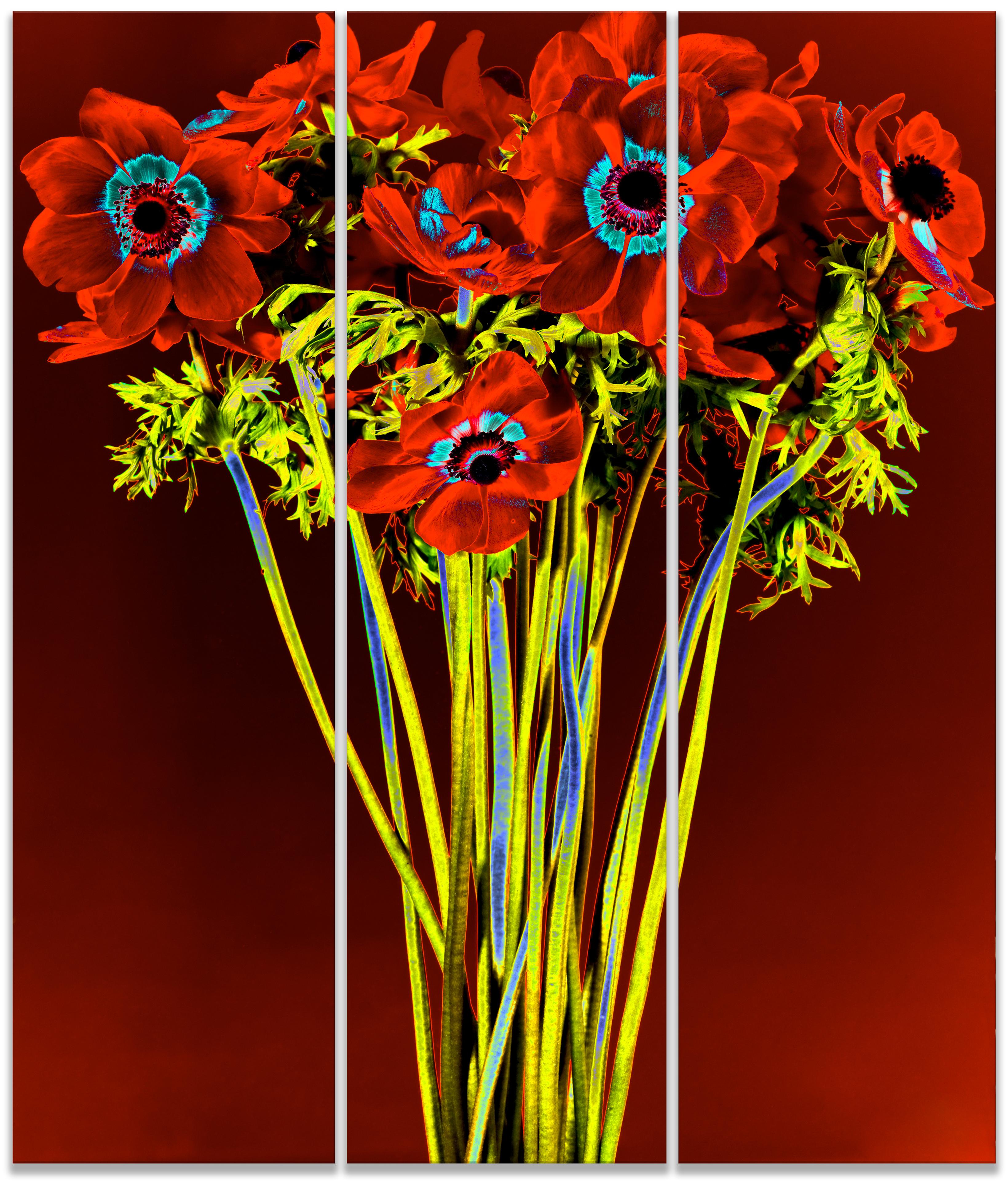 Still-Life Photograph Albert Delamour - RED DOT SOL II TRIPTYCH- Grande échelle ( 66 x 56 ") sur Dibond sous verre acrylique 