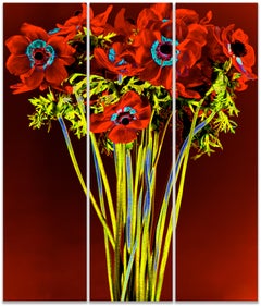 RED DOT SOL II TRIPTYCH- Large scale ( 66 x 56 ") on Dibond under Acrylic glass 