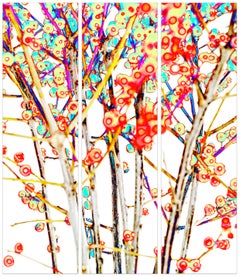 RED DOT SOL TRIPTYCH - Large scale ( 66 x 57 " on Dibond under Acrylic glass )