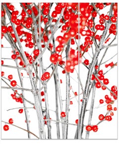 RED DOT TRIPTYCH – Großformatiges (66x 57"), auf Dibond unter Acrylglas