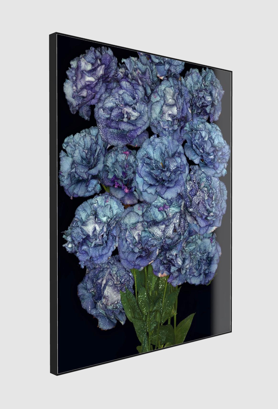 High quality photography with pristine details, large scale.
Mounted under Acrylic Glass for best rendering and protection, with two options : Slimcase  or framed in an 2” deep Aluminum Artbox (black or Silver)
Limited Edition of 7, signed by the