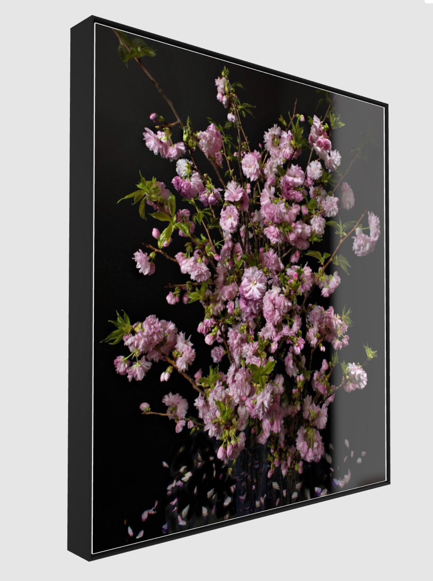 From the Still Alive Series, capturing beauty fading away.
High quality photography with pristine details, large scale.
Mounted under Acrylic Glass for best rendering and protection, with two options : Slimcase  or framed in an 2” deep Aluminum
