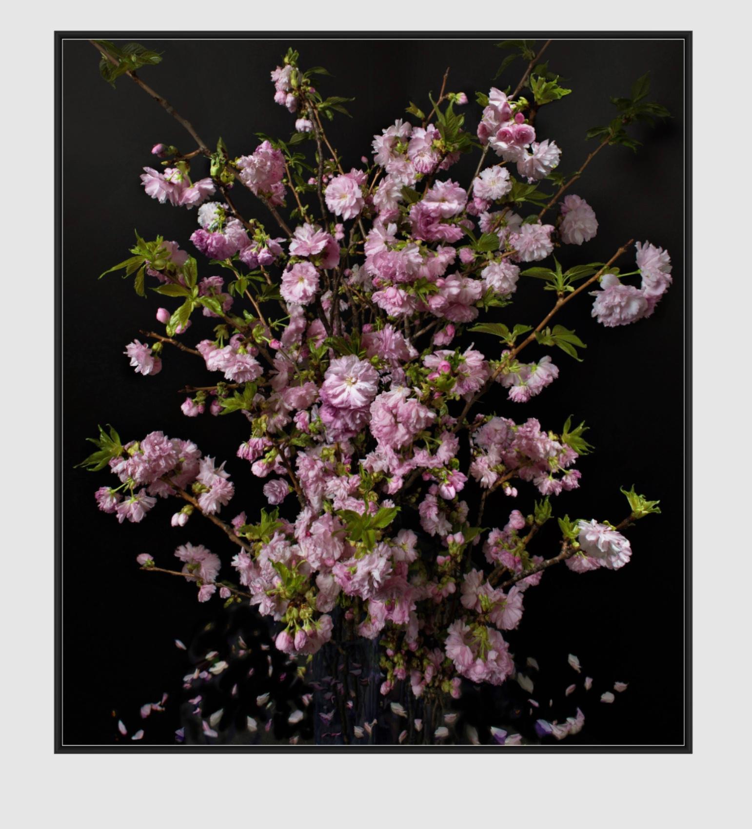 STILL ALIVE THE BLOSSOM -under Acrylic Glass For Sale 1