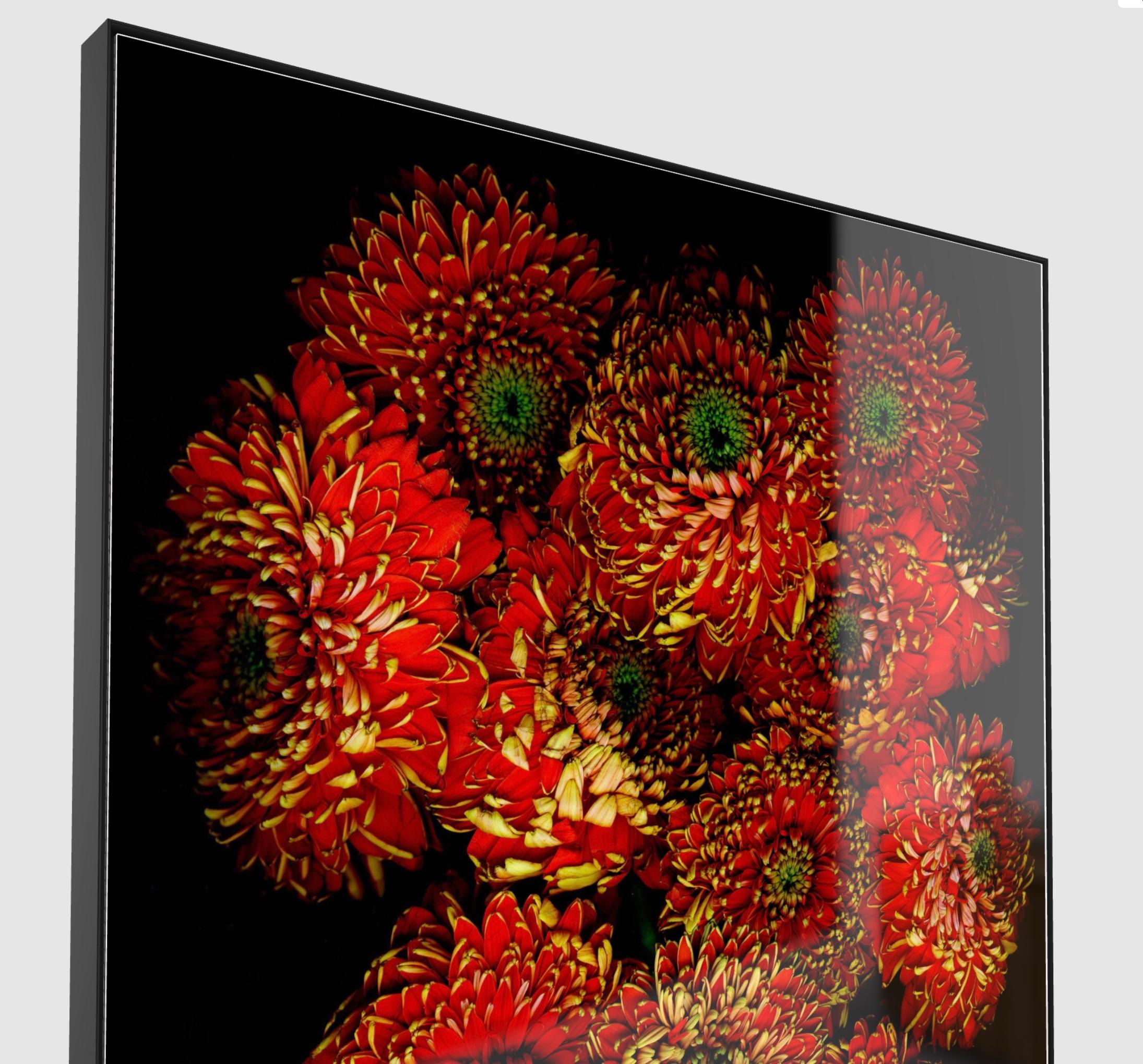 STILL ALIVE THE BOUQUET RED -under Acrylic Glass - Contemporary Photograph by Albert Delamour