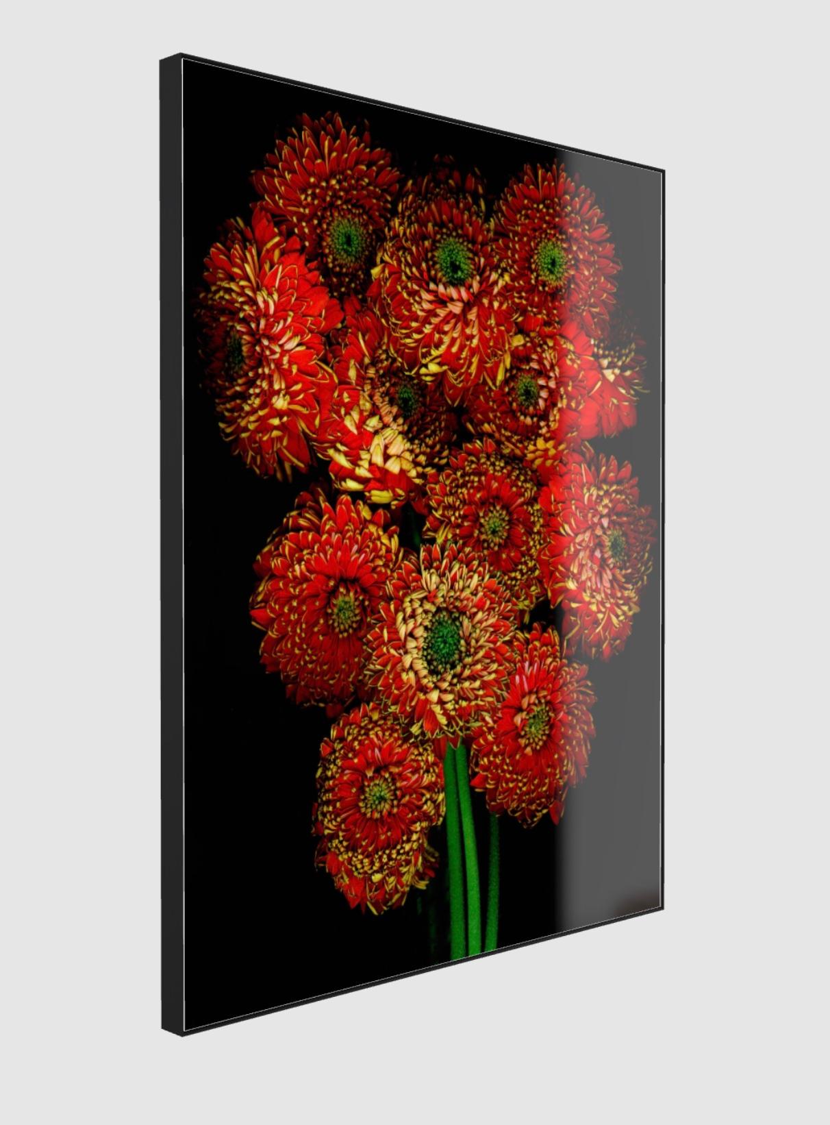 STILL ALIVE THE BOUQUET RED -under Acrylic Glass For Sale 1