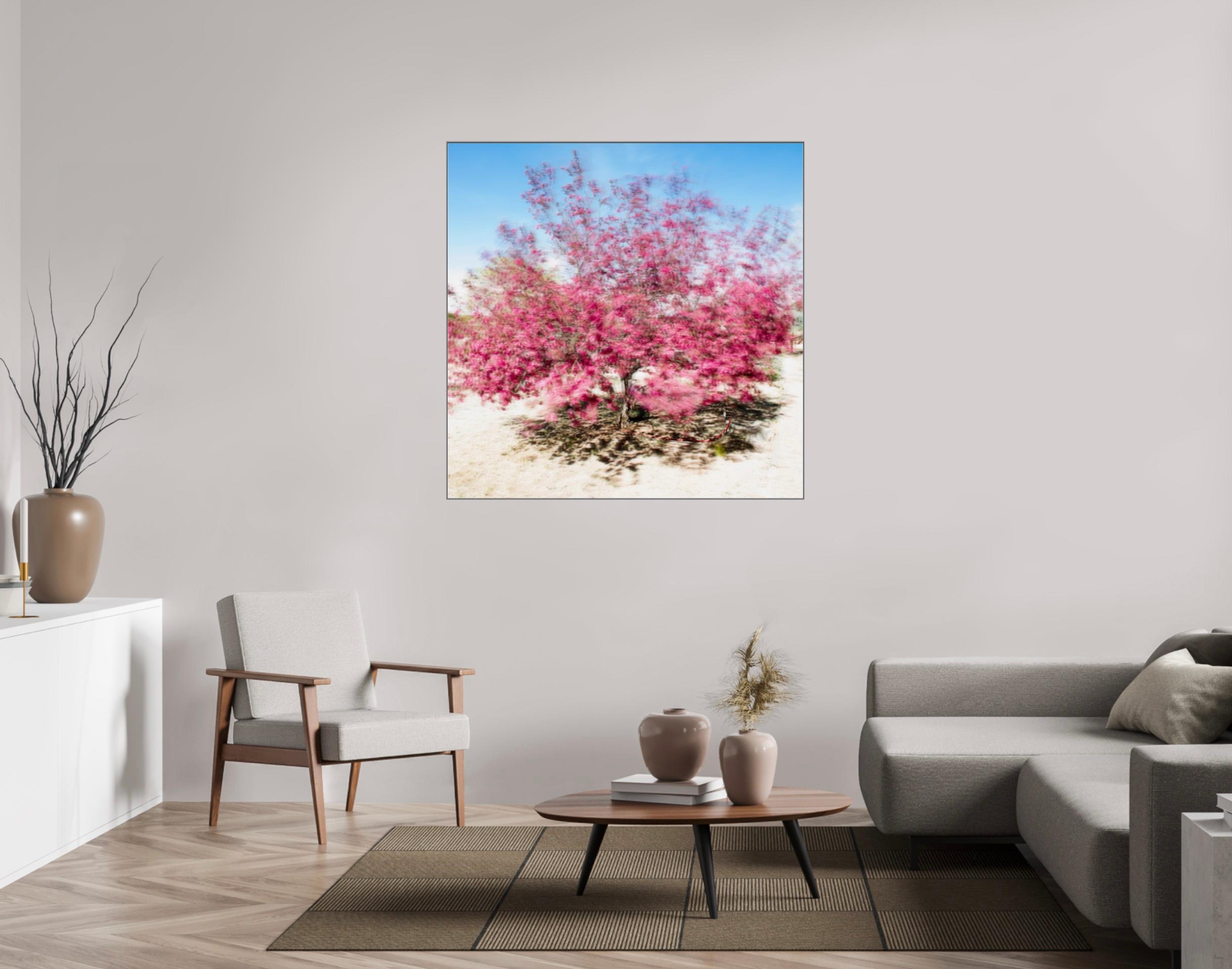 THE BLOSSOM - under Acrylic Glass - Contemporary Photograph by Albert Delamour
