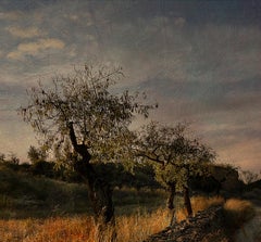 My Literature - Signed limited edition fine art print, Contemporary, Brown