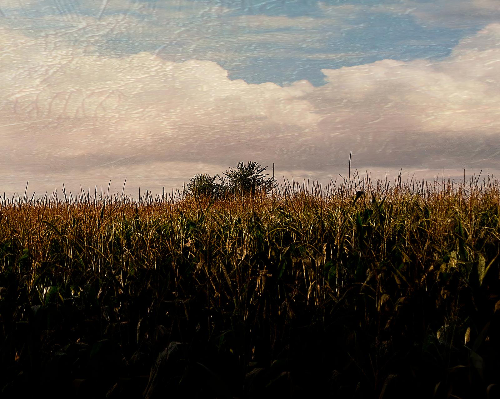 Plenitude - Signed limited edition panoramic pigment print, Contemporary - Photograph by Albert Giralt 