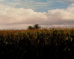 Plenitude - Signed limited edition panoramic pigment print, Contemporary