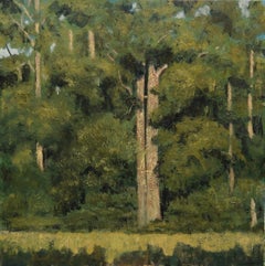 Clairière