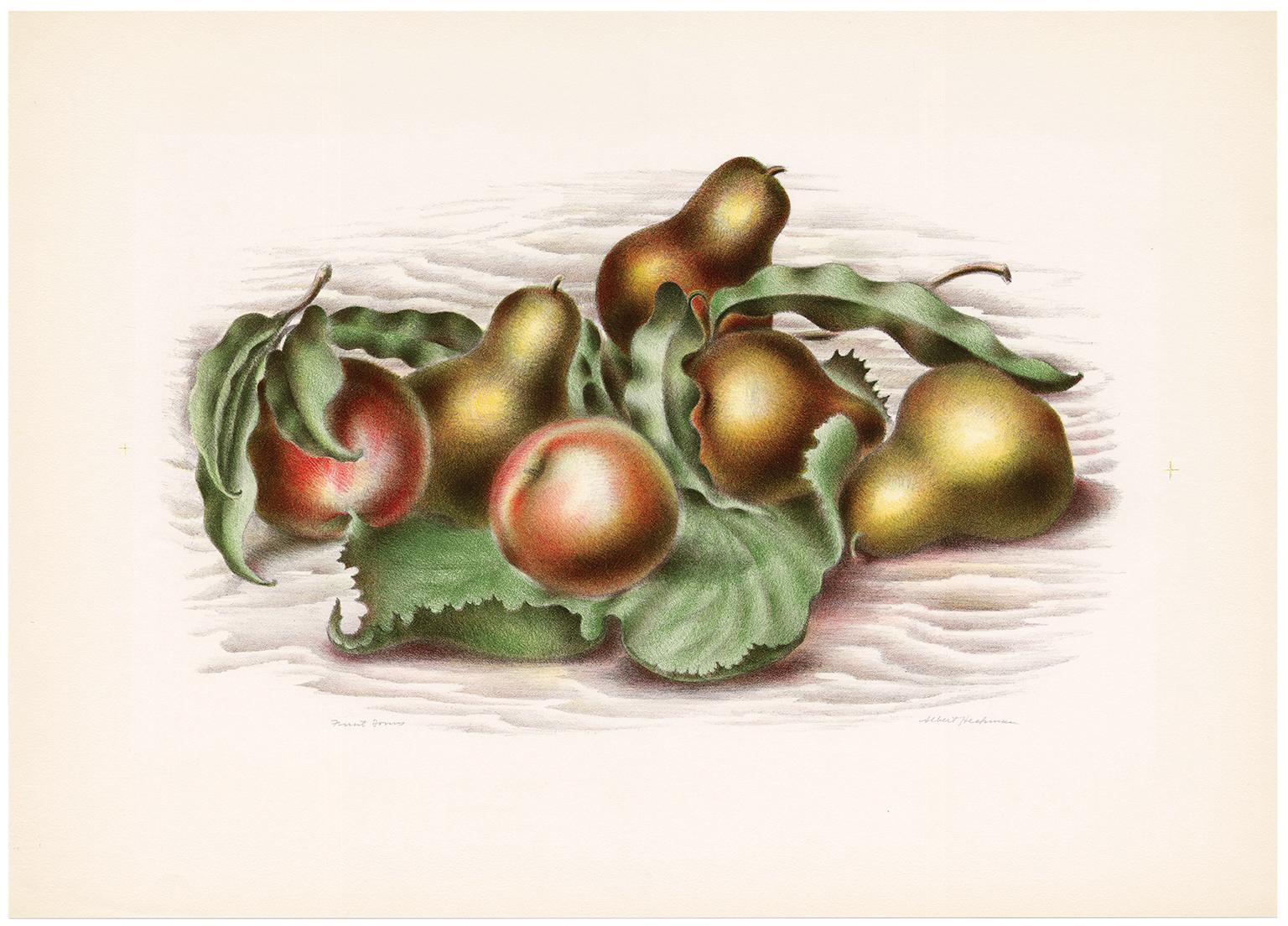 'Fruit Forms' — 1930s American Modernism - Print by Albert Heckman