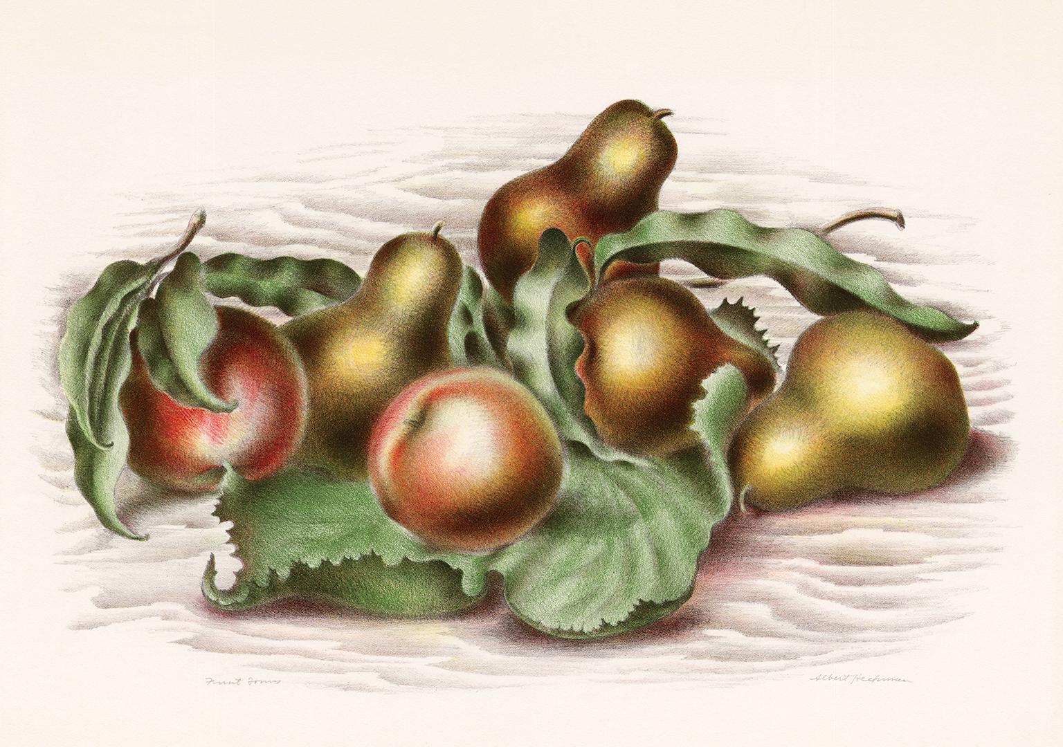 Albert Heckman Still-Life Print - 'Fruit Forms' — 1930s American Modernism