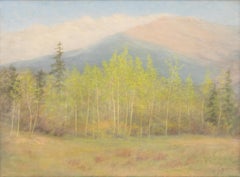 Pastellfarbenes Ölgemälde aus den 1920er Jahren von Aspen & Craig Meadows in Spring, Colorado