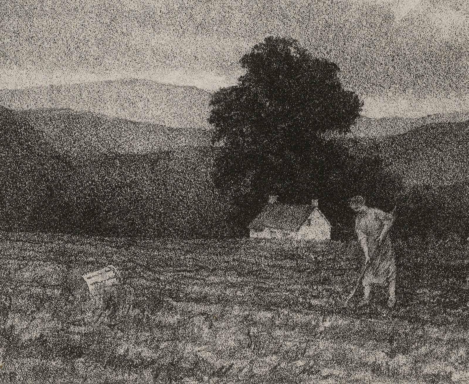 Widow with 30 Acres - Print by Albert Winslow Barker