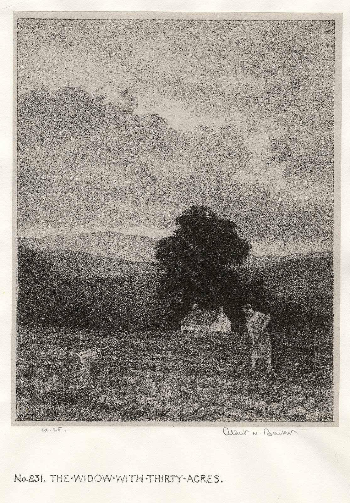 Widow mit 30 Hektar Land (Grau), Figurative Print, von Albert Winslow Barker