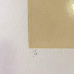 Bianchi e Neri I (Acetates), Plate E - Original Mixed Media by Alberto Burri